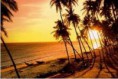 /album/galerie-de-photos%3a-la-vie-%c3%a0-mui-ne/couche-de-soleil-jpg/